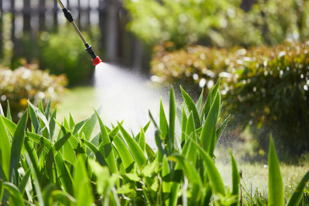 24/7 Emergency Ant Control experts in Parker, AZ
