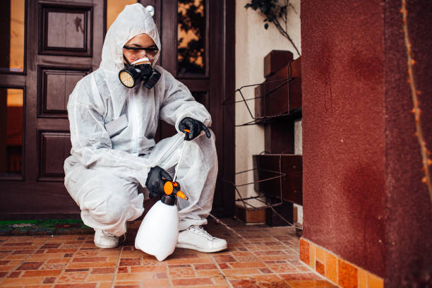 Reliable Ant Control contractor in Parker, AZ by Show Me Pest Control