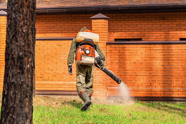 Top rated local Ant Control specialists in Parker, AZ